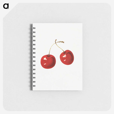2-13_USDA-Watercolor-Fruit-Painting-Collection_memo