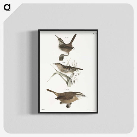 2-13_Zoology-of-New-York_blk-crop