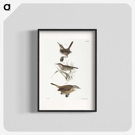 2-13_Zoology-of-New-York_blk