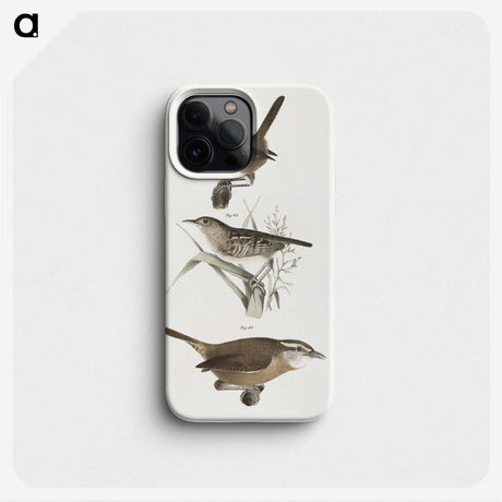 2-13_Zoology-of-New-York_phone