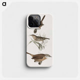 The Marsh Wren (Troglodytes palustris) 93. The Short-billed Wren (Troglodytes brevirostris) 94. The Mocking Wren (Troglodytes ludovicianus) illustration from Zoology of New York by . O - ニューヨークの動物学 Phone Case.