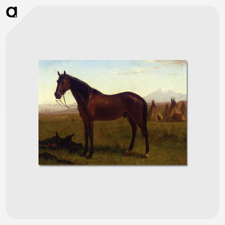 2-14_Albert-Bierstadt_postcard