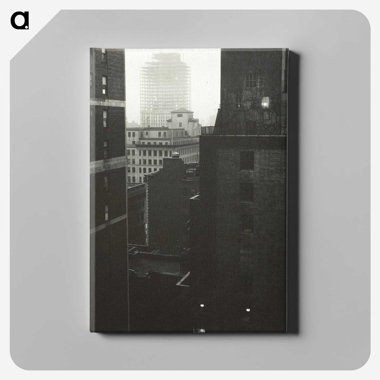 2-14_Alfred-Stieglitz_canvas