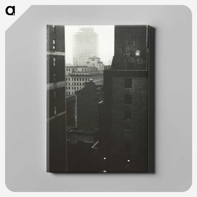 2-14_Alfred-Stieglitz_canvas