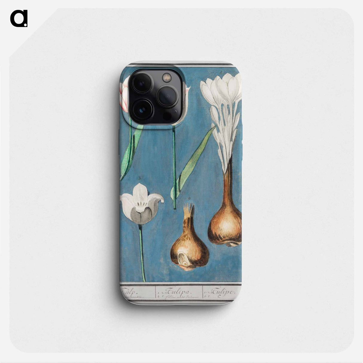 Tulip - アンセルムス ボエティウス デ ブート Phone Case.