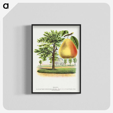 2-14_Botanical-Specimen-Plates_blk-crop