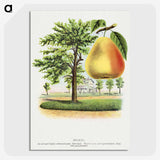 2-14_Botanical-Specimen-Plates_picture-crop
