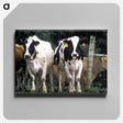 2-14_COVID-19_canvas