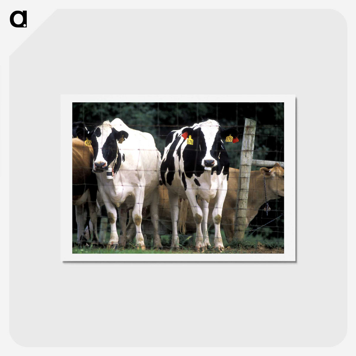 2-14_COVID-19_hagaki