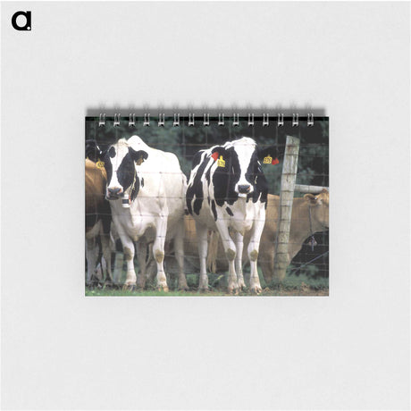 2-14_COVID-19_memo