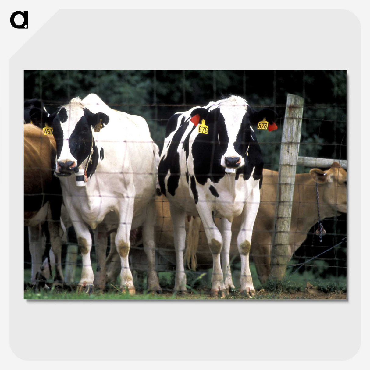 2-14_COVID-19_picture-crop