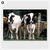 2-14_COVID-19_picture-crop