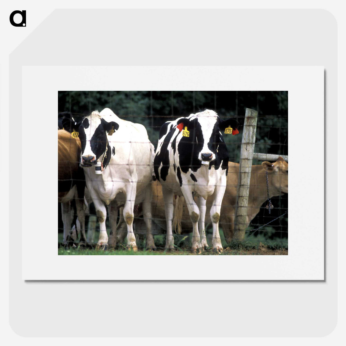 2-14_COVID-19_picture