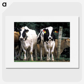 2-14_COVID-19_picture