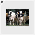2-14_COVID-19_postcard