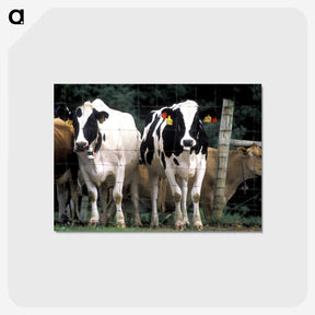 2-14_COVID-19_postcard