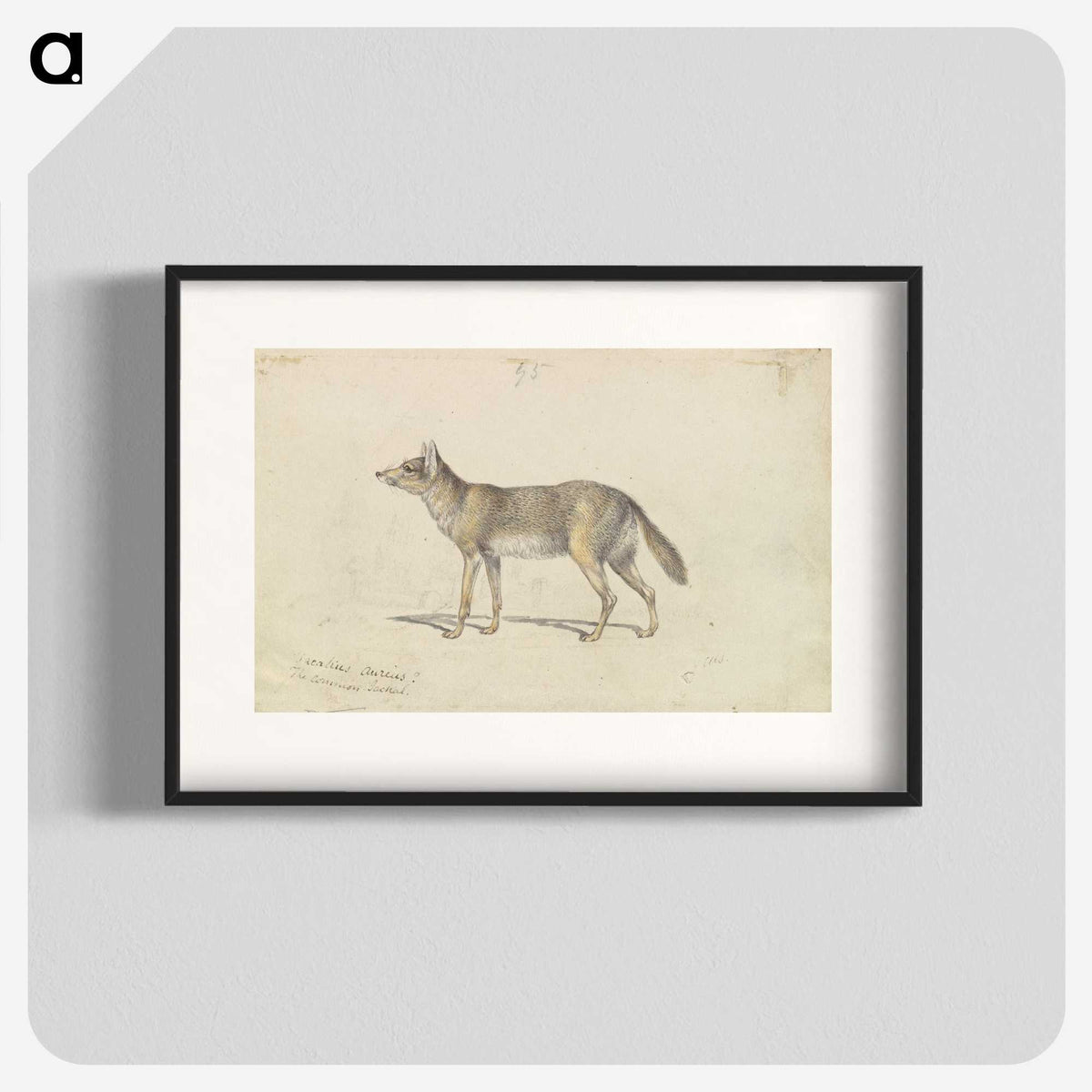 2-14_Charles-Hamilton-Smith_blk