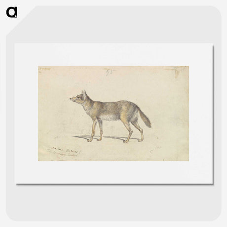 2-14_Charles-Hamilton-Smith_picture