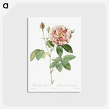 2-14_Cleveland-Museum-of-Art_postcard