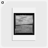2-14_Dorothea-Lange_hagaki
