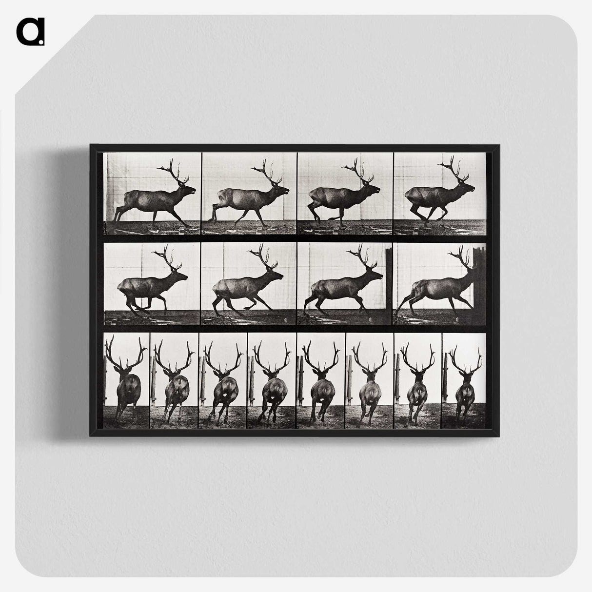 2-14_Eadweard-Muybridge_blk-crop
