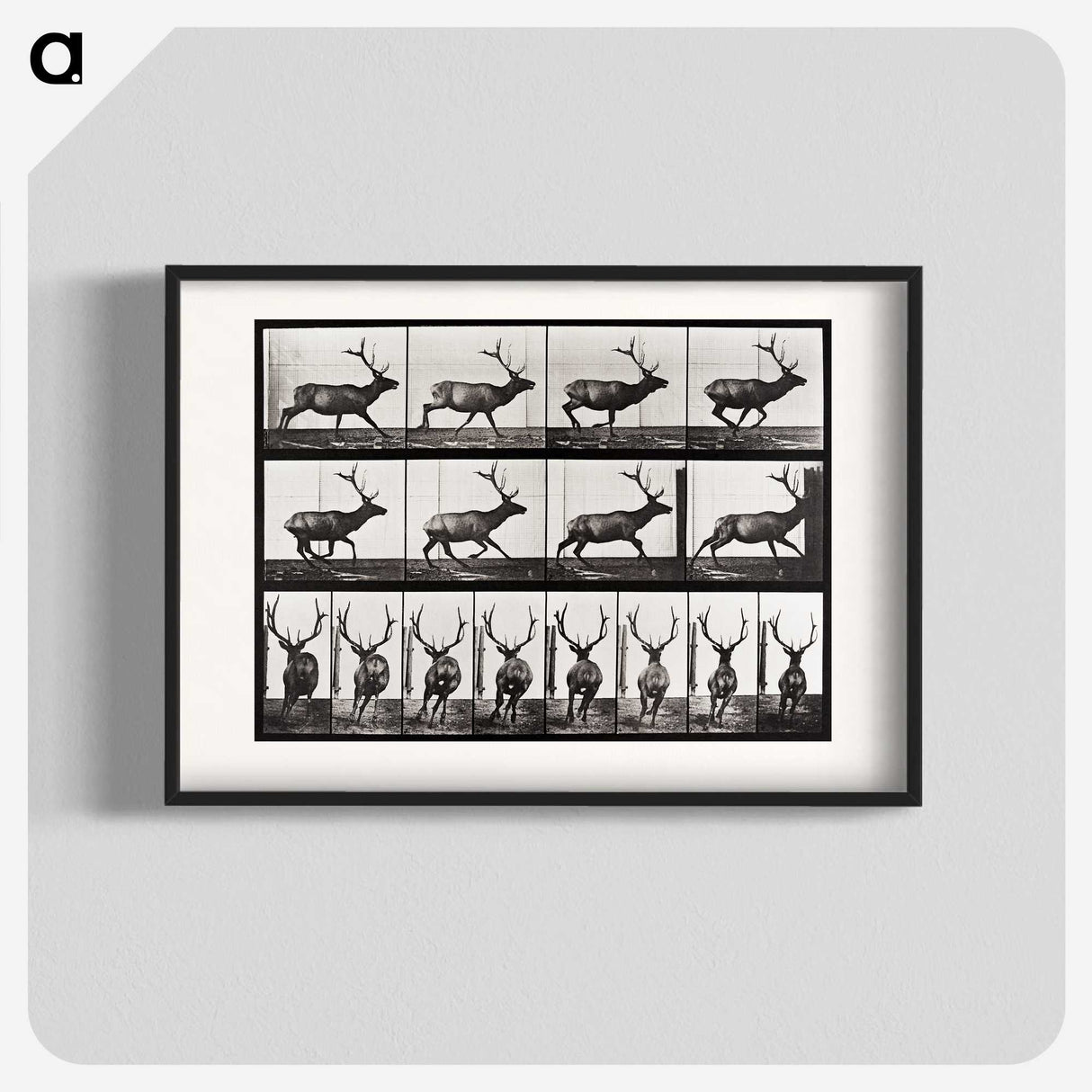 2-14_Eadweard-Muybridge_blk