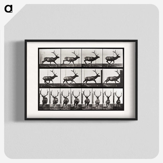 2-14_Eadweard-Muybridge_blk