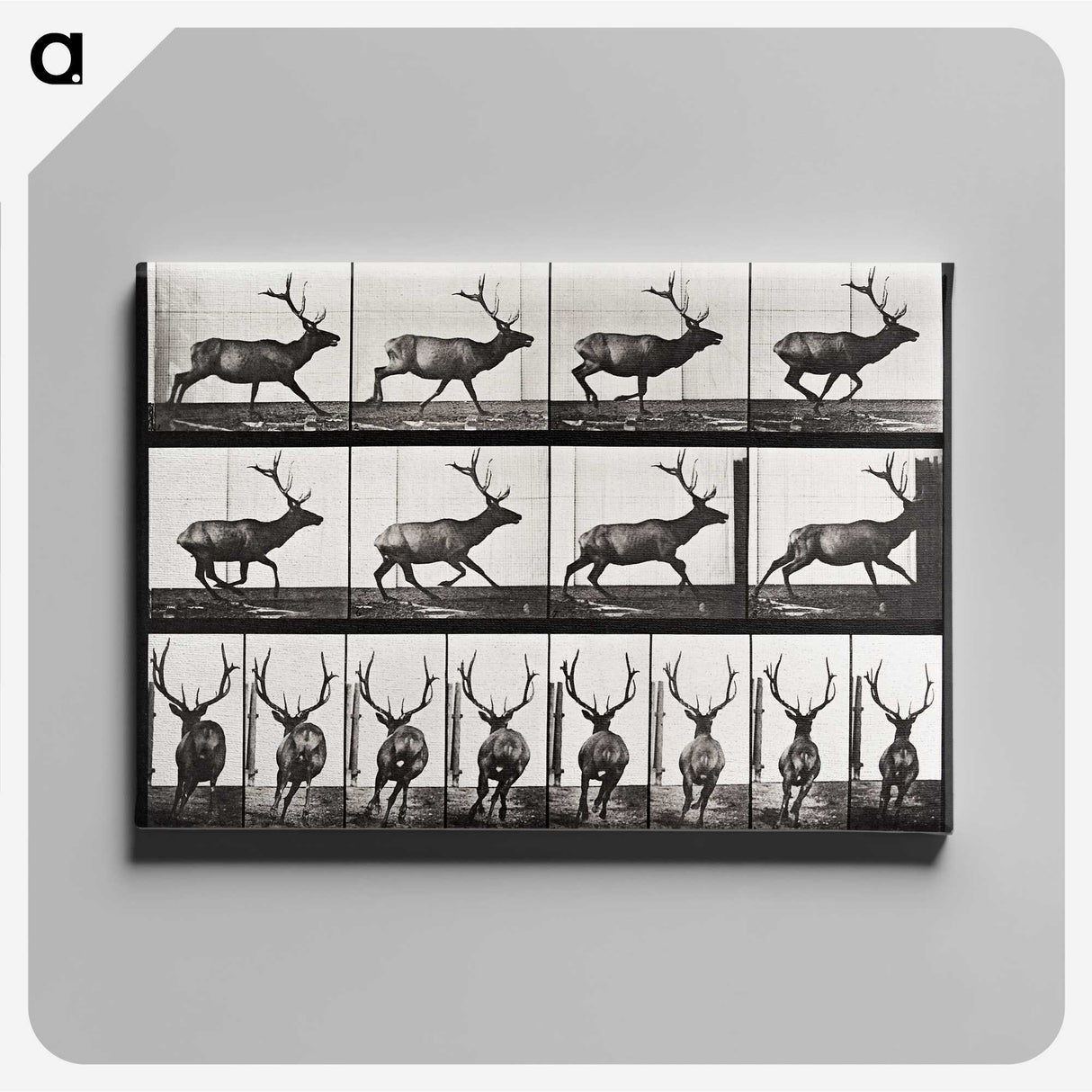 2-14_Eadweard-Muybridge_canvas