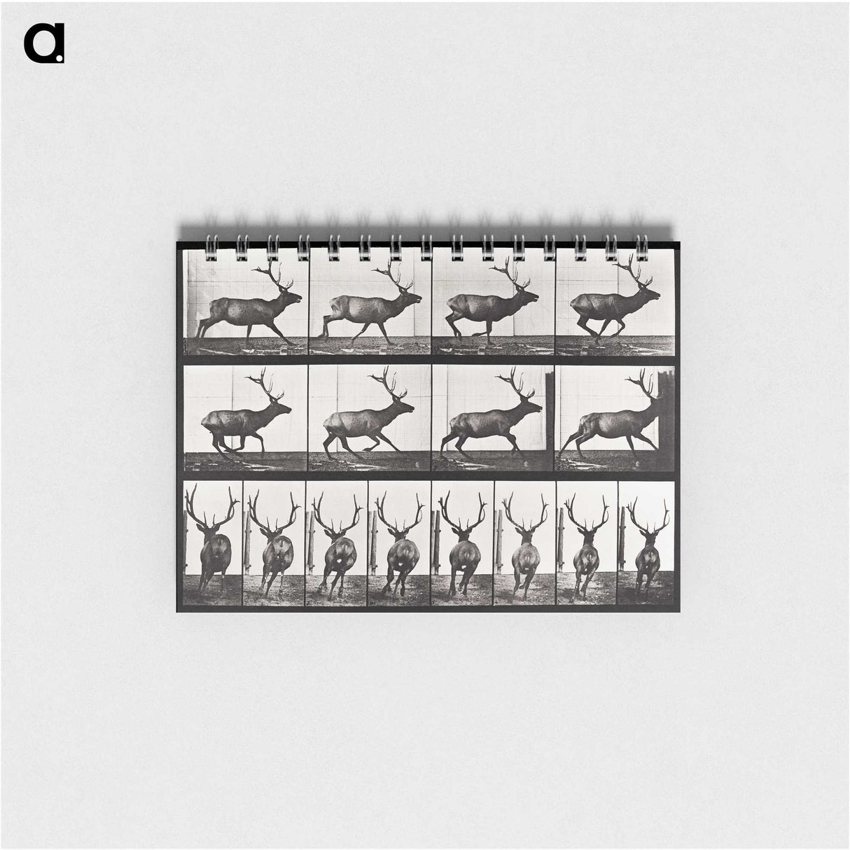 2-14_Eadweard-Muybridge_memo