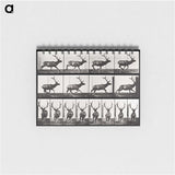 2-14_Eadweard-Muybridge_memo