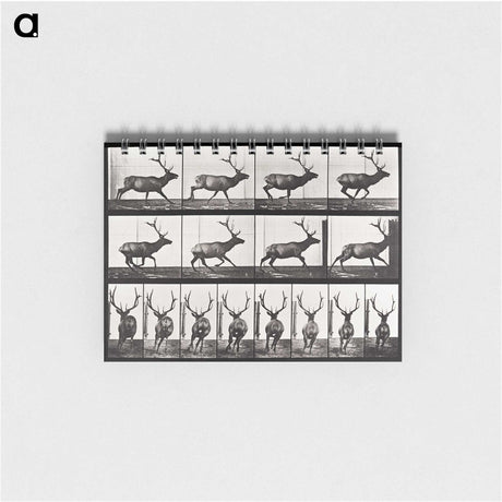 2-14_Eadweard-Muybridge_memo