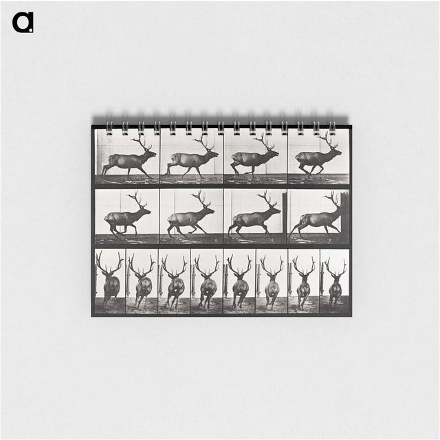 2-14_Eadweard-Muybridge_memo