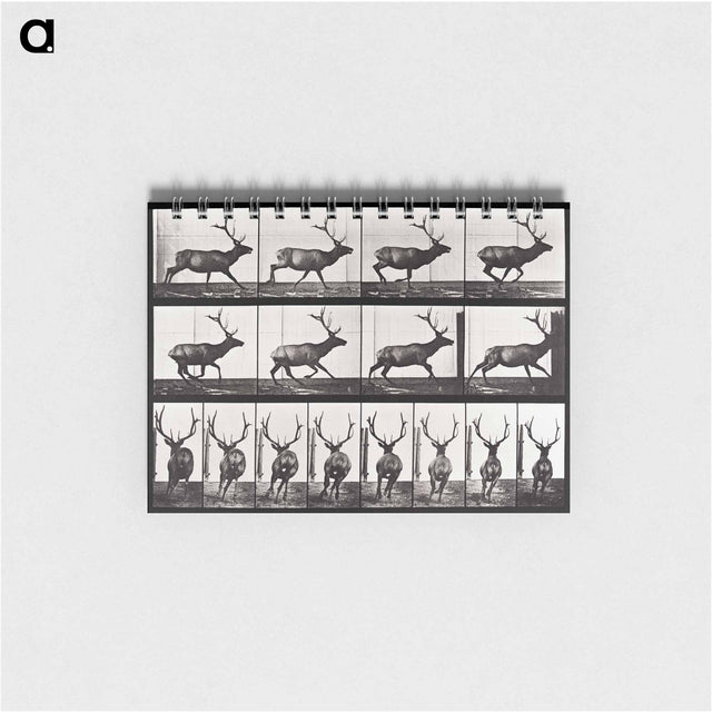 アートメモ帳-Animal Locomotion
 - エドワード マイブリッジ Memo.