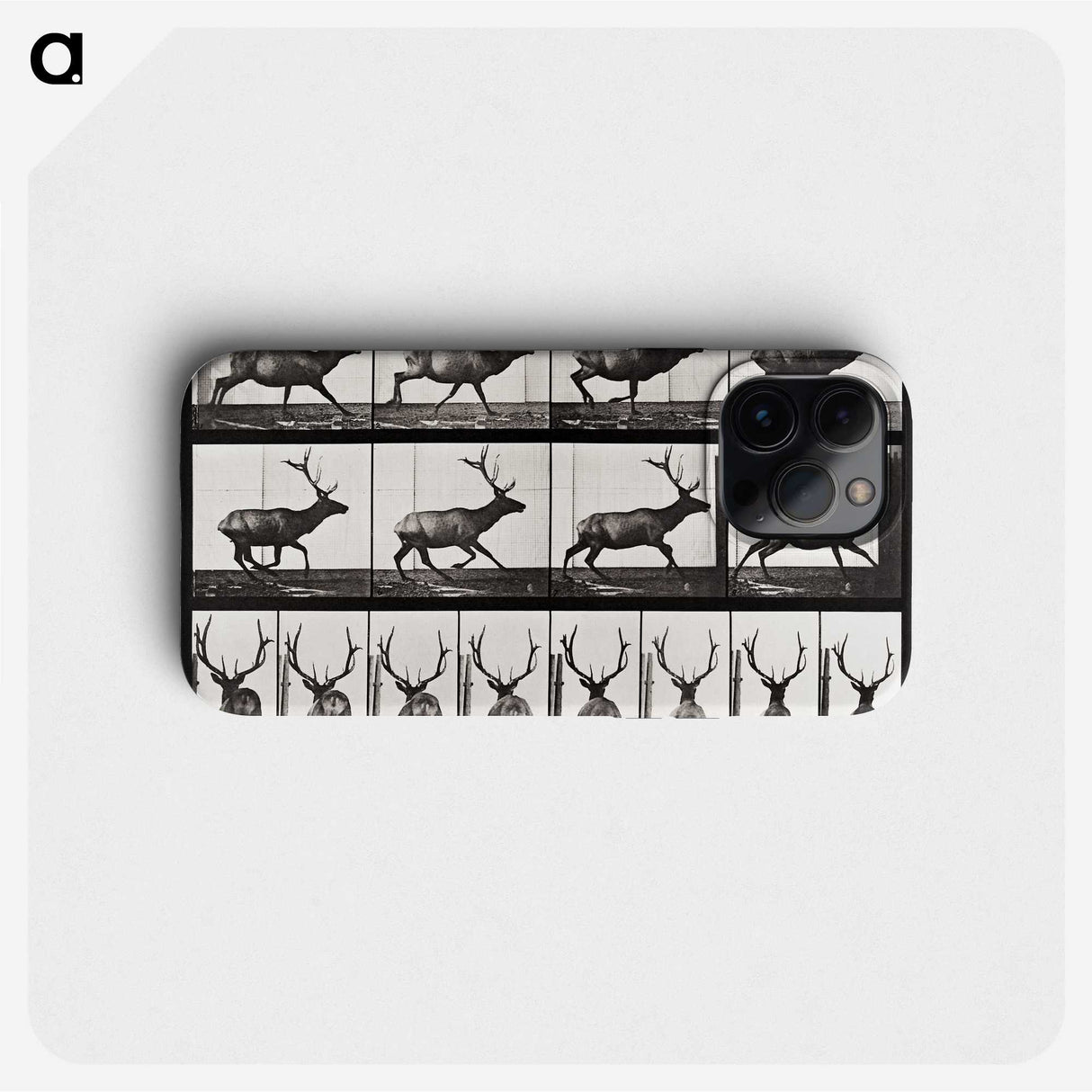 2-14_Eadweard-Muybridge_phone