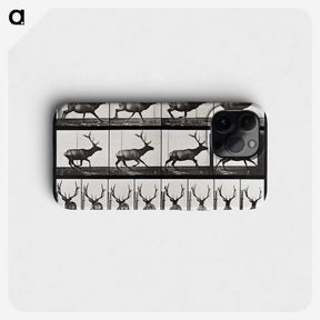 2-14_Eadweard-Muybridge_phone