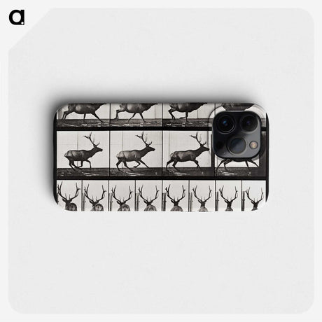 2-14_Eadweard-Muybridge_phone