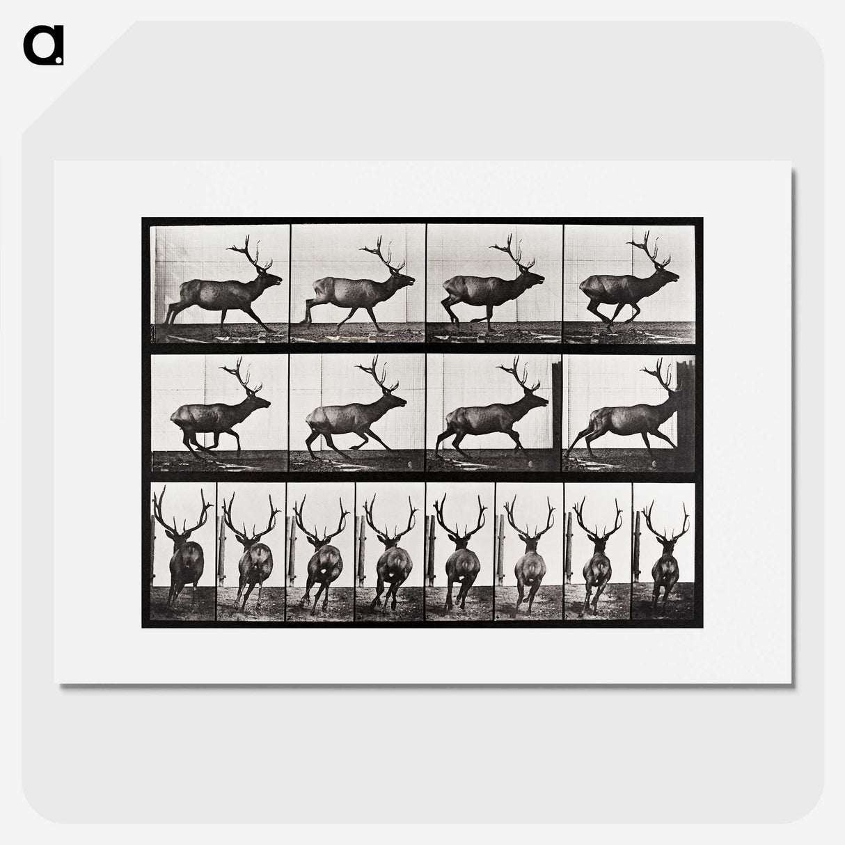2-14_Eadweard-Muybridge_picture