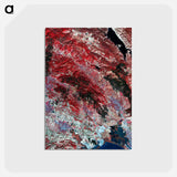 アートポストカード-Satellite Image of Northern California Wildfires
 - 上空からの地球 Postcard.