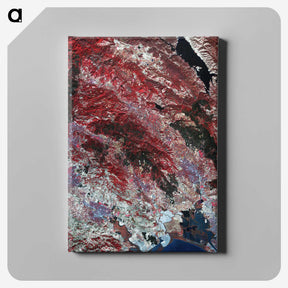 2-14_Earth-from-Above_canvas