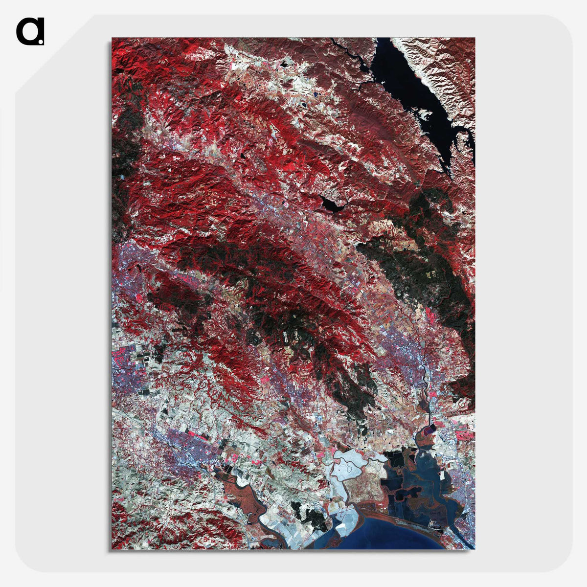 2-14_Earth-from-Above_picture-crop