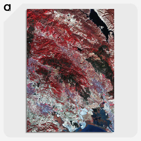 2-14_Earth-from-Above_picture-crop