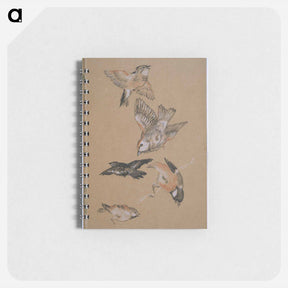 アートメモ帳-Love leading the Pilgrim - Study of Birds: Finches - エドワード バーン ジョーンズ Memo.
