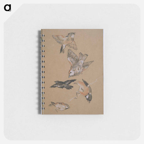 アートメモ帳-Love leading the Pilgrim - Study of Birds: Finches - エドワード バーン ジョーンズ Memo.
