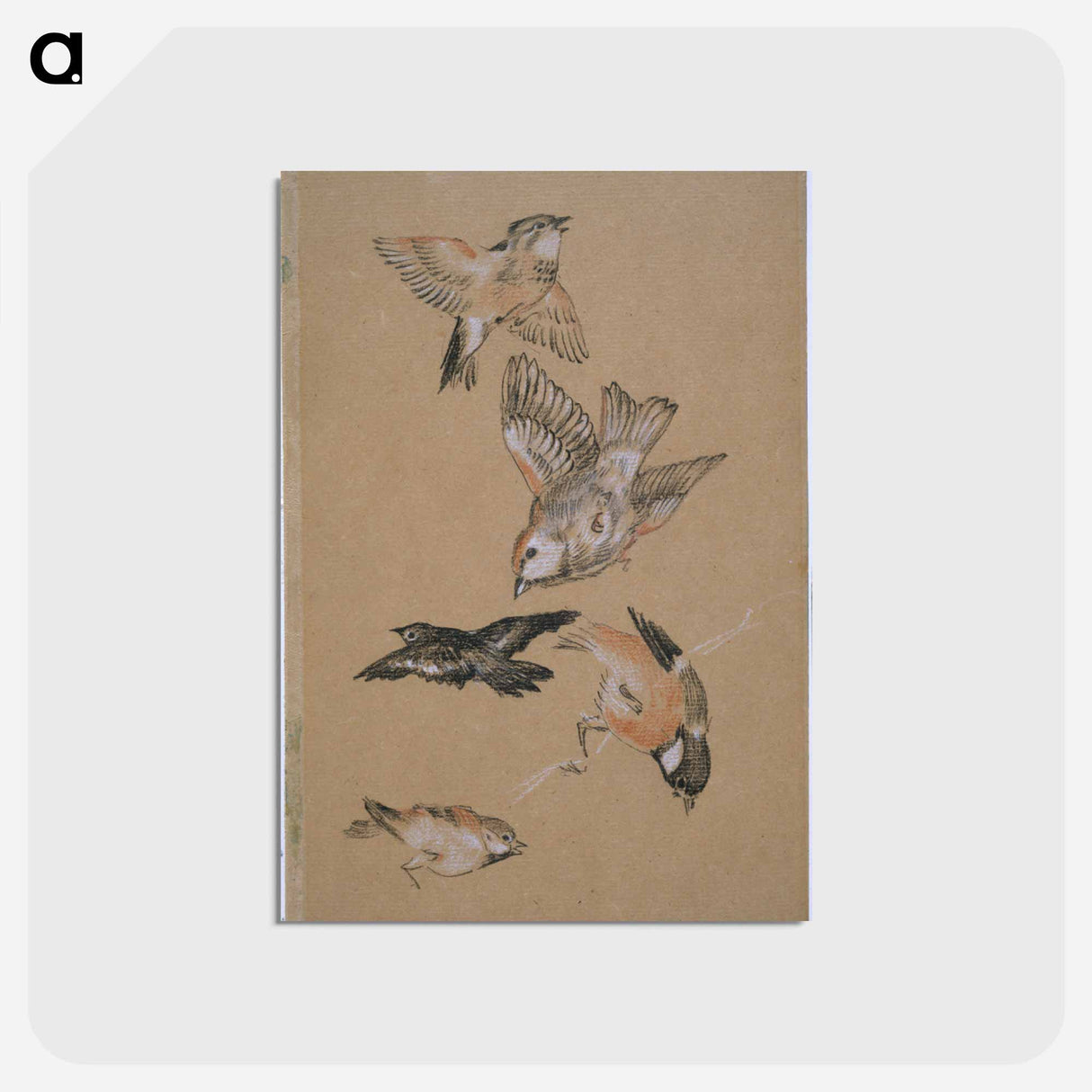アートポストカード-Love leading the Pilgrim - Study of Birds: Finches - エドワード バーン ジョーンズ Postcard.