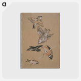アートポストカード-Love leading the Pilgrim - Study of Birds: Finches - エドワード バーン ジョーンズ Postcard.