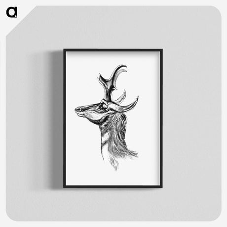 2-14_Ernst-Haeckel_blk-crop
