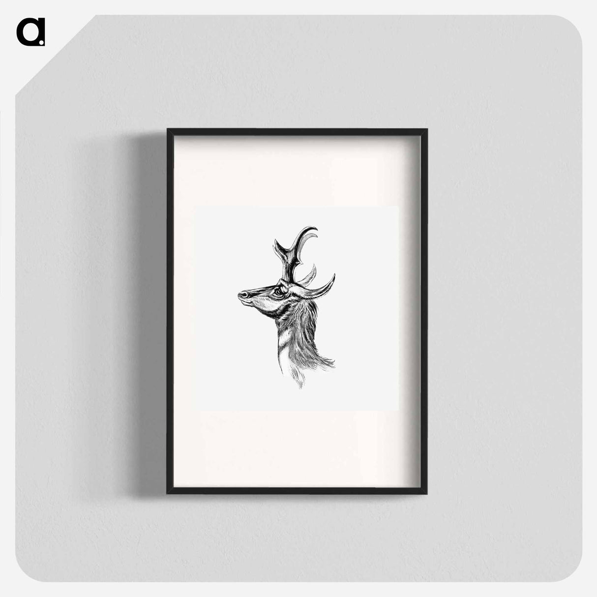 Vintage antelope wildlife illustration - エルンスト ヘッケル Poster.