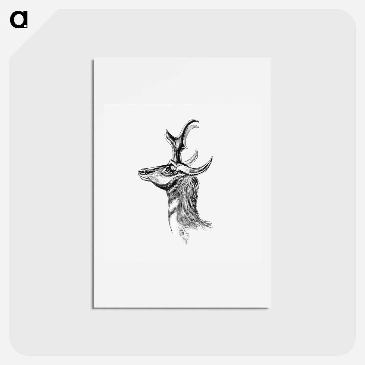 アートポストカード-Vintage antelope wildlife illustration - エルンスト ヘッケル Postcard.