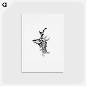 アートポストカード-Vintage antelope wildlife illustration - エルンスト ヘッケル Postcard.