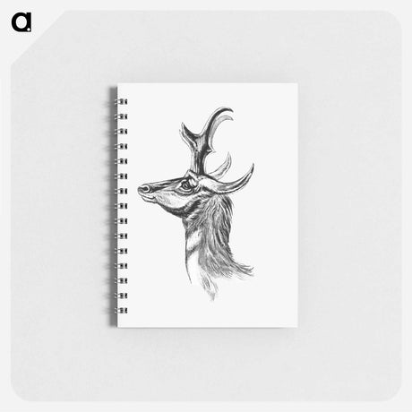 アートメモ帳-Vintage antelope wildlife illustration - エルンスト ヘッケル Memo.
